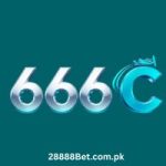 6666C APK