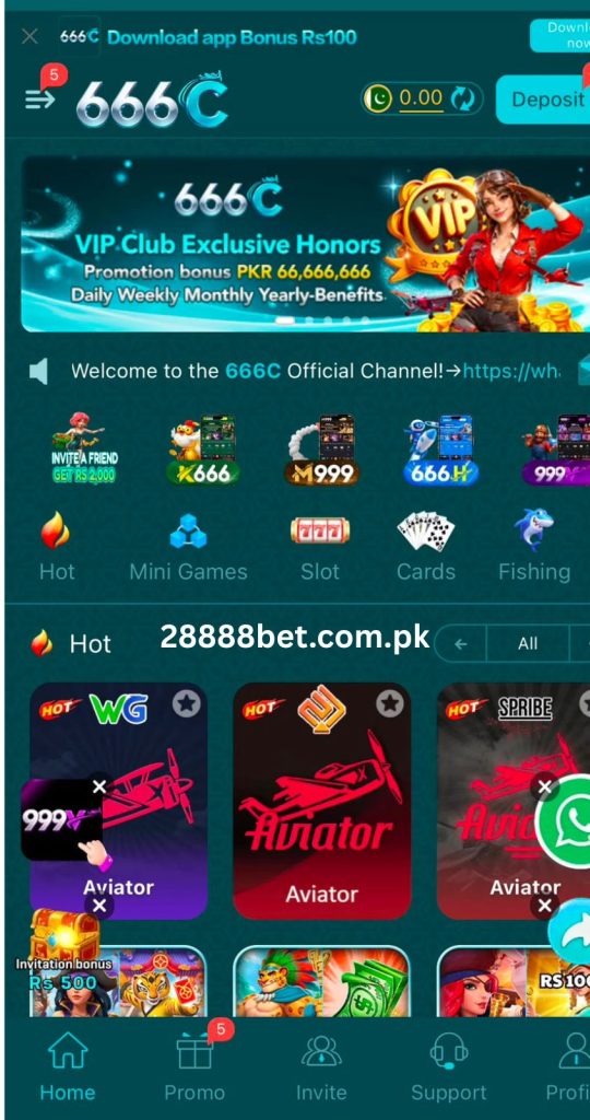 6666C Game 